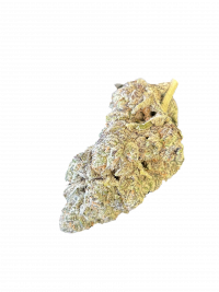 White Chocolate Chip