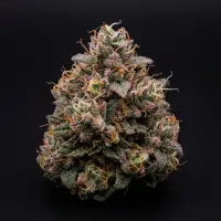 Berry Gelato