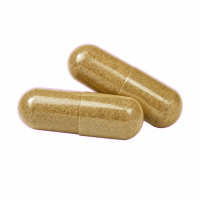 Fuzsy Enhanced Mitragynine Botanicals 35mg 2pk