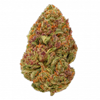 Mellow Fellow THC-A 1/4lb Flower - Trop Che