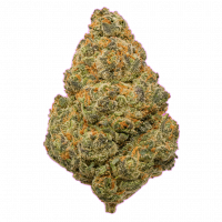 Not for Sale THC-A 1lb Flower - Cheese Bur