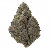 Smoke Daddy THC-A 1/4lb Flower - Black Silver Haze (S)